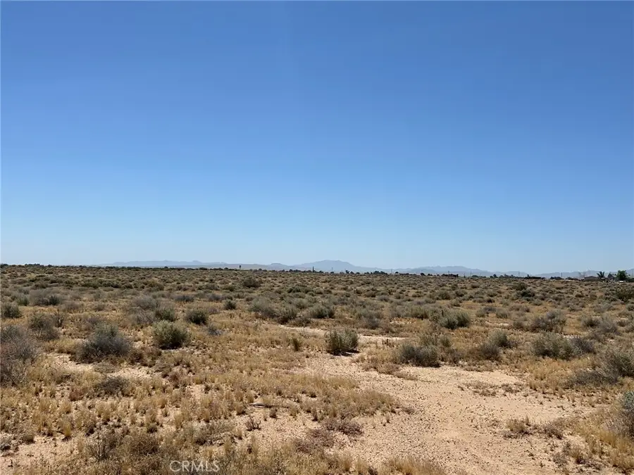 0 Section 17 Area, Nipton, CA 92316 - #3