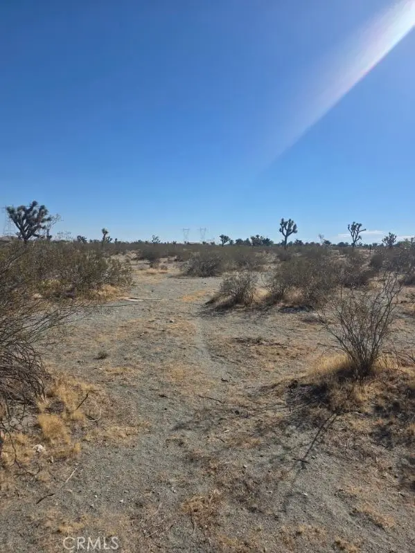 0 Evergreen Road, Pinon Hills, CA 92372 - #2