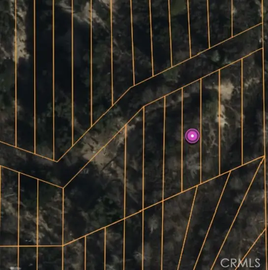 0 Lignum Vitae Drive, Cedar Glen, CA 92321 - #1