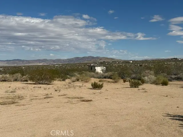 0 Ocotillo Road, Johnson Valley, CA 92285 - #1