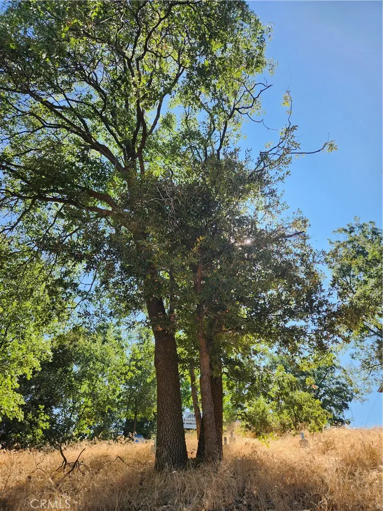 1563 Rock Ridge Drive, Lake Arrowhead, CA 92352 - #3