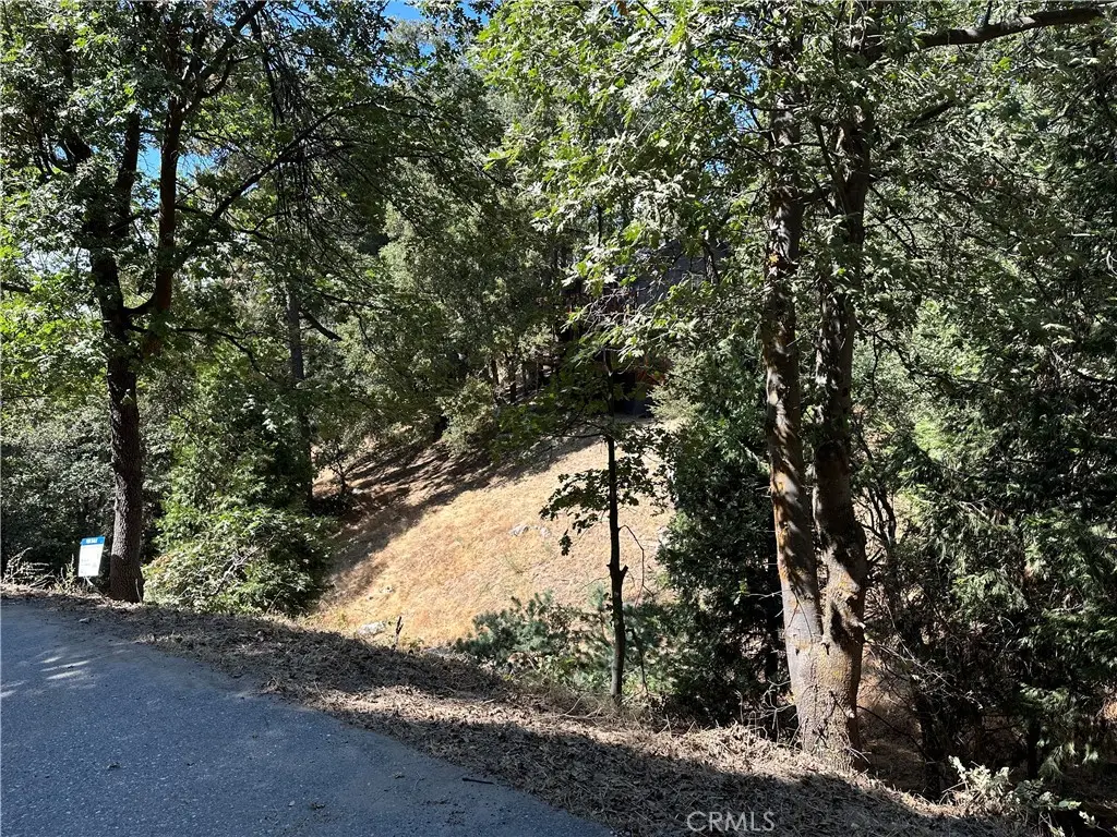 24960 Saxon Drive, Crestline, CA 92325 - #1