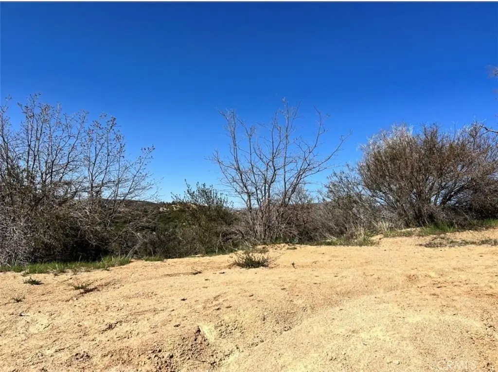 0 Coulter, Cedar Glen, CA 92321 - #1