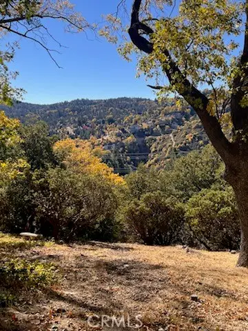 0 Grass Valley Road, Lake Arrowhead, CA 92352