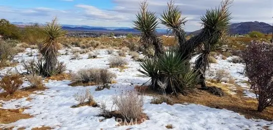 0 Desert Queen Avenue, Twentynine Palms, CA 92277 - Image #3