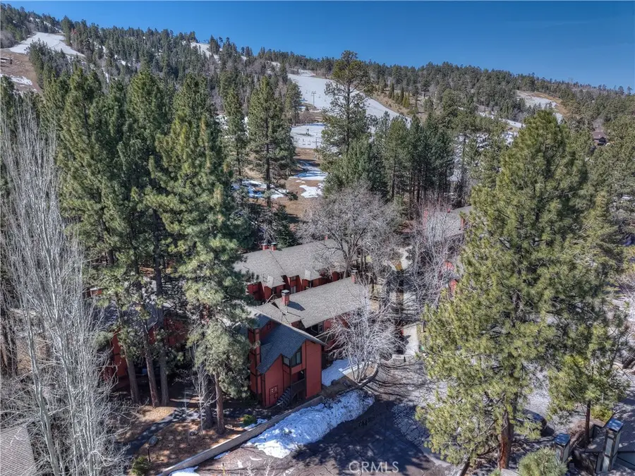 41935 Switzerland Drive #100, Big Bear Lake, CA 92315 - #2