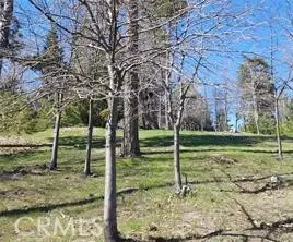 42 Park Drive, Running Springs, CA 92382 - Image #2