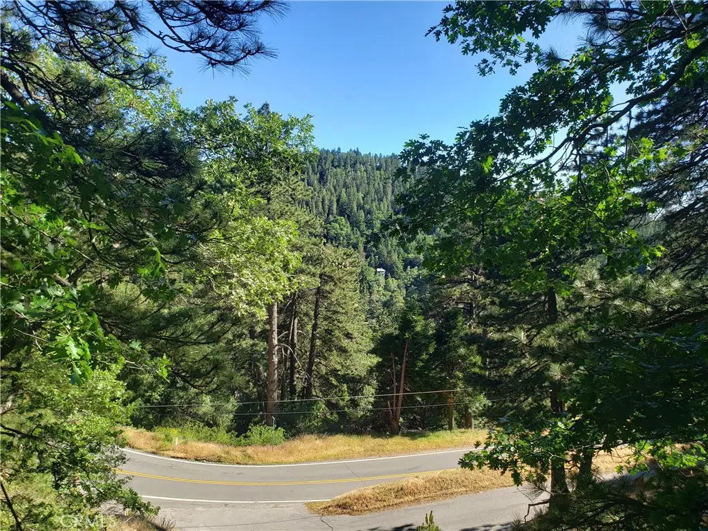 21858 Fern Canyon Road, Cedarpines Park, CA 92322 - #1