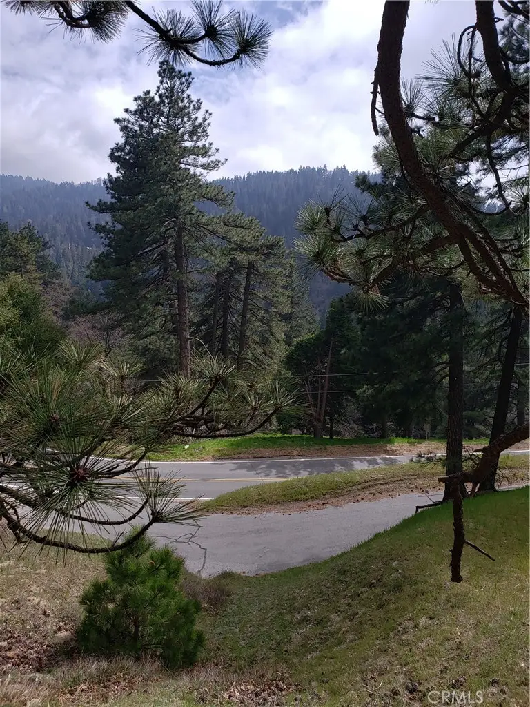 21858 Fern Canyon Road, Cedarpines Park, CA 92322 - #2