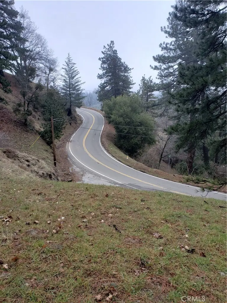 21858 Fern Canyon Road, Cedarpines Park, CA 92322 - #3