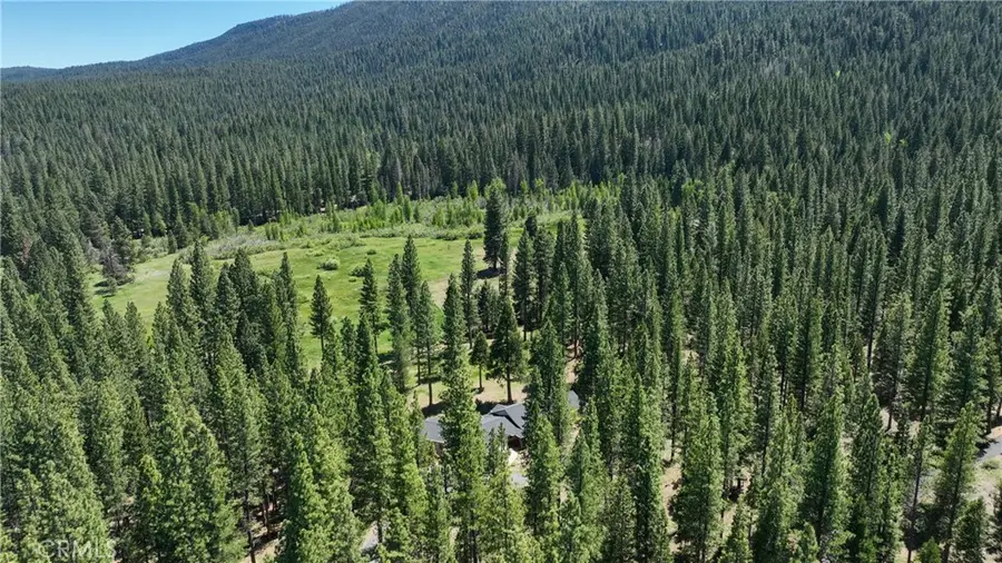 445 Boulder Drive, Clio, CA 96106 - Image #3