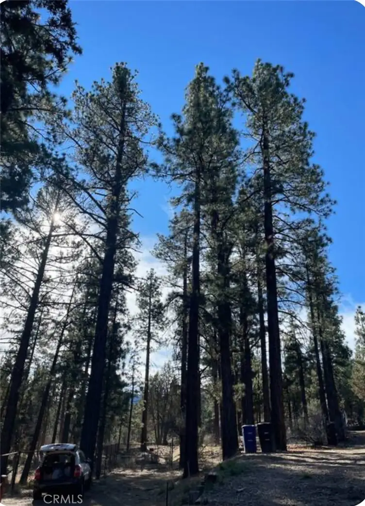 605 Kean Way, Big Bear City, CA 92314 - Image #3