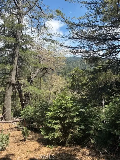 248 Old Toll Road, Lake Arrowhead, CA 92317 - Image #1