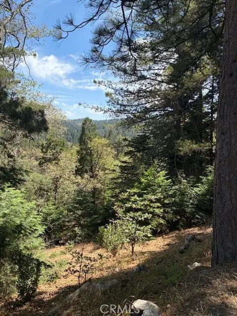 248 Old Toll Road, Lake Arrowhead, CA 92317 - Image #2