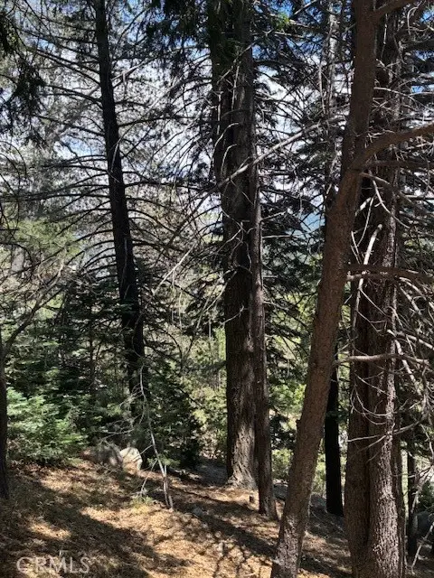 248 Old Toll Road, Lake Arrowhead, CA 92317 - Image #3