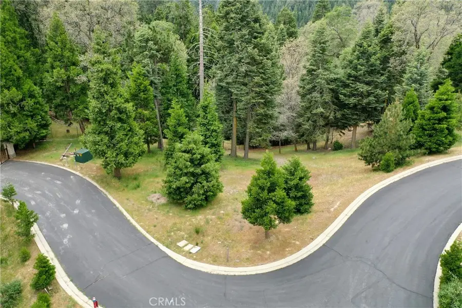275 Ponderosa Peak Road, Lake Arrowhead, CA 92352 - #3