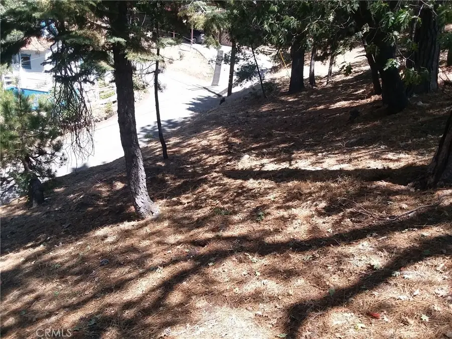 32960 Lone Pine Drive, Big Bear, CA 92382 - #2