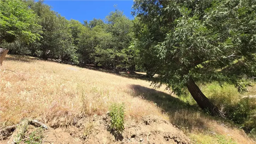 0 Hope Lane, Cedarpines Park, CA 92322 - Image #2