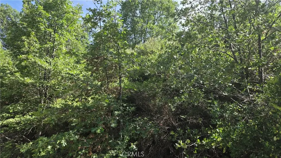 0 Elder Drive, Cedar Glen, CA 92321 - #3