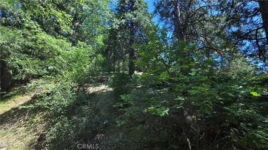 22494 Mojave River Road, Cedarpines Park, CA 92322 - Image #2