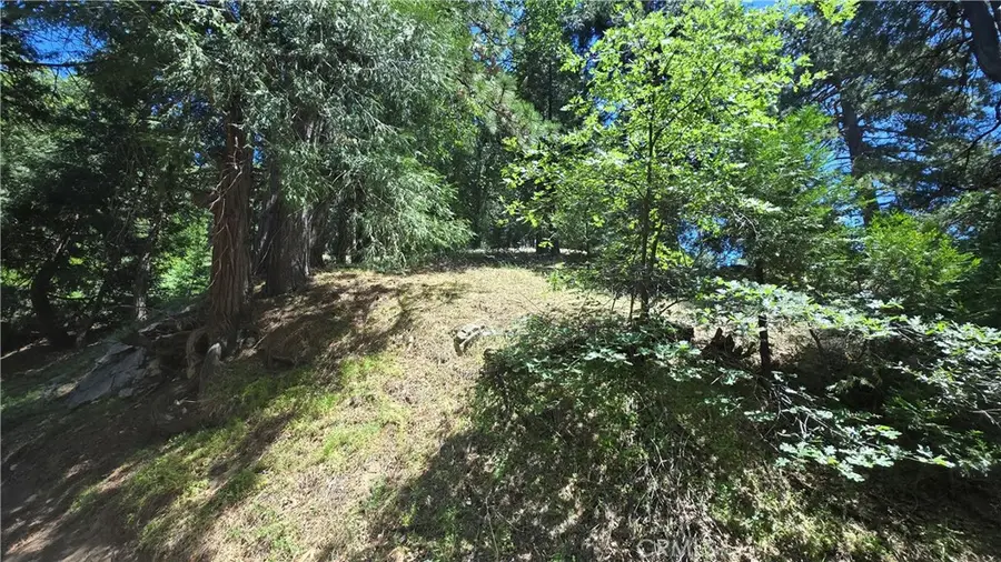 22494 Mojave River Road, Cedarpines Park, CA 92322 - Image #3