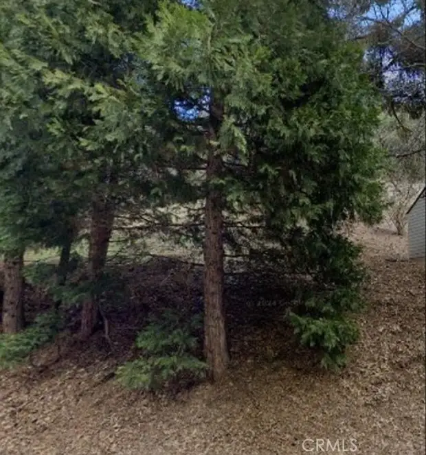 0 Dart Canyon Road, Crestline, CA 92325 - #3