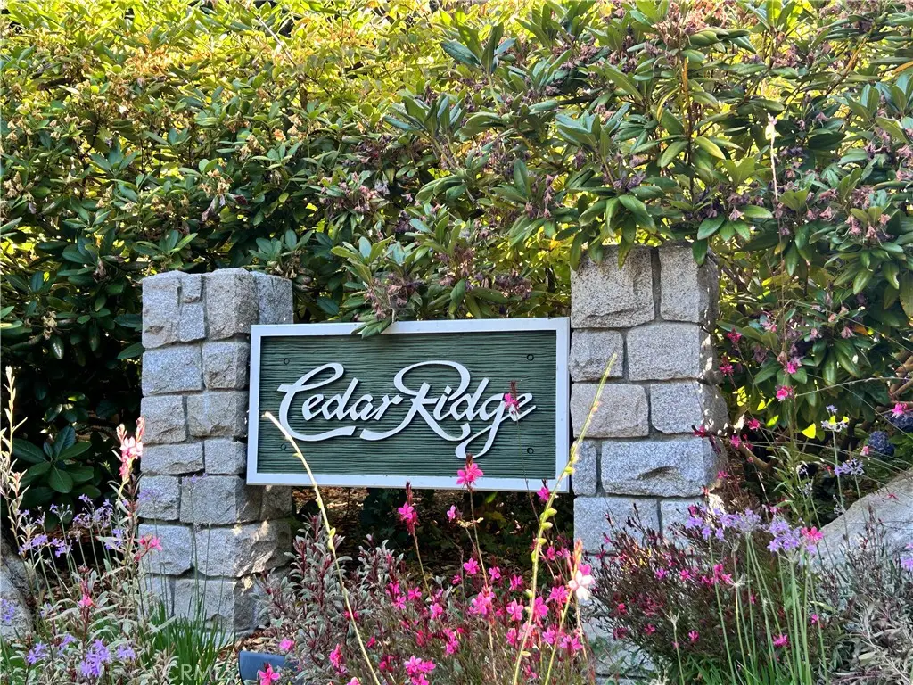 28980 White Dove Lane, Lake Arrowhead, CA 92352 - #1