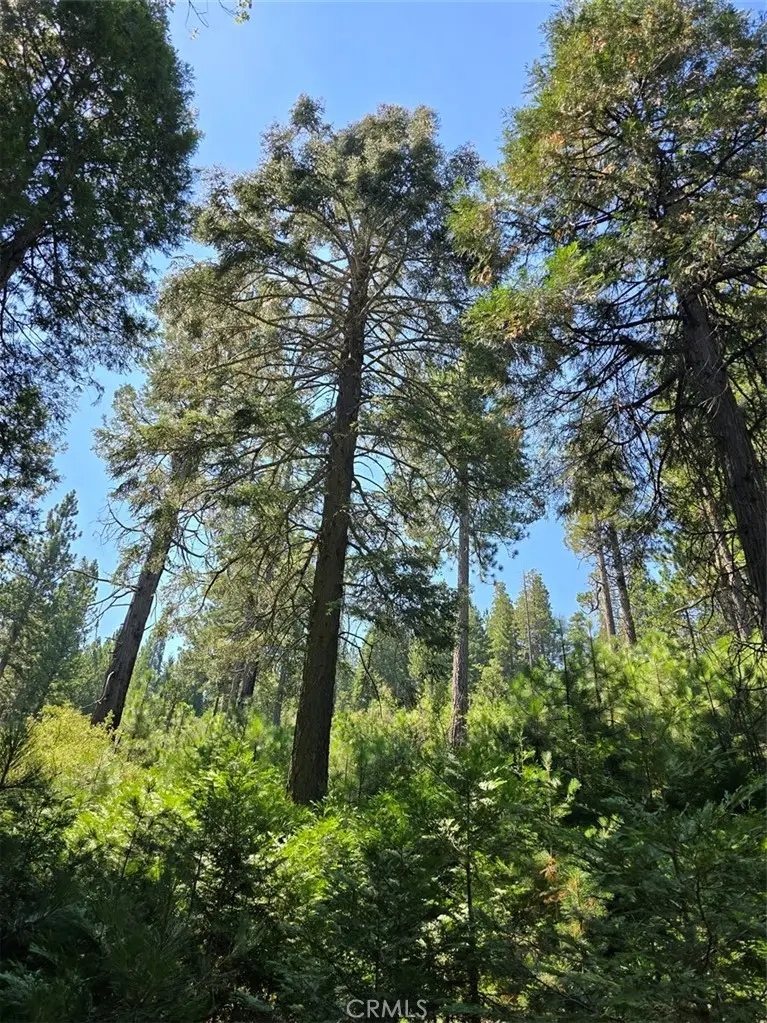 0 Lovers Lane, Cedarpines Park, CA 92322 - #1