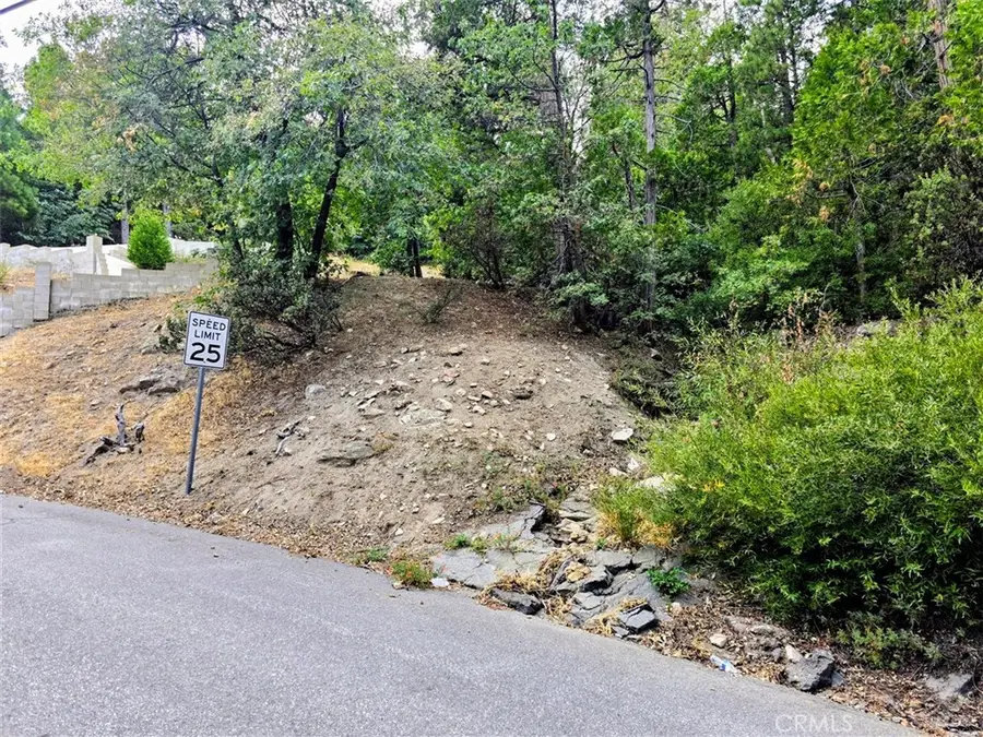 0 Zurich Drive, Lake Arrowhead, CA 92352 - #2