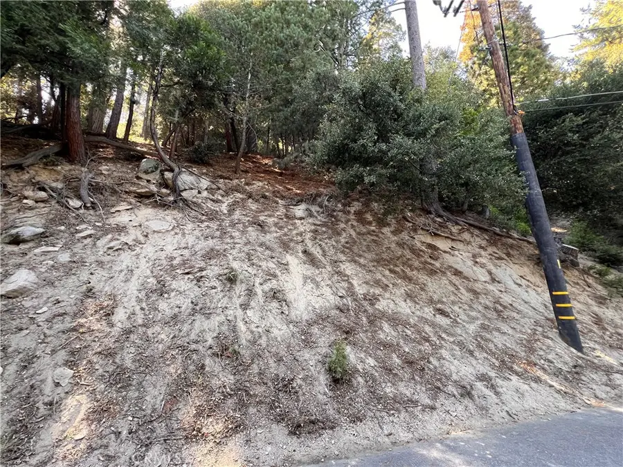 0 Lausanne, Crestline, CA 92325 - #2