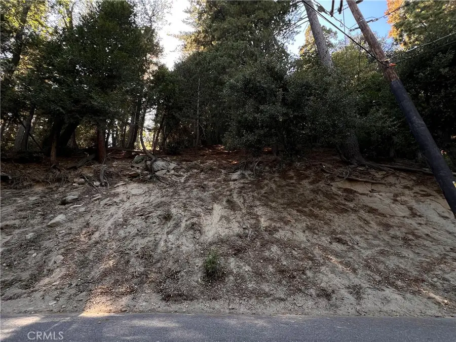 0 Lausanne, Crestline, CA 92325 - #3