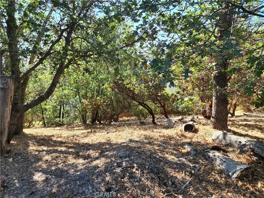 1248 Glacier Drive, Lake Arrowhead, CA 92352 - #3