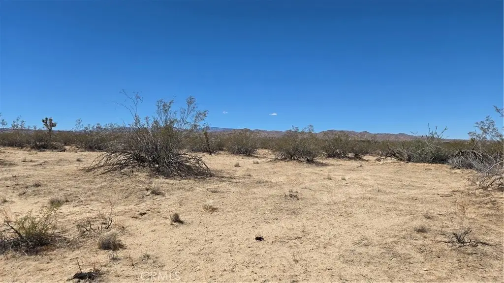 4102 Pine (jackrabbit) Lane, Landers, CA 92285 - #1