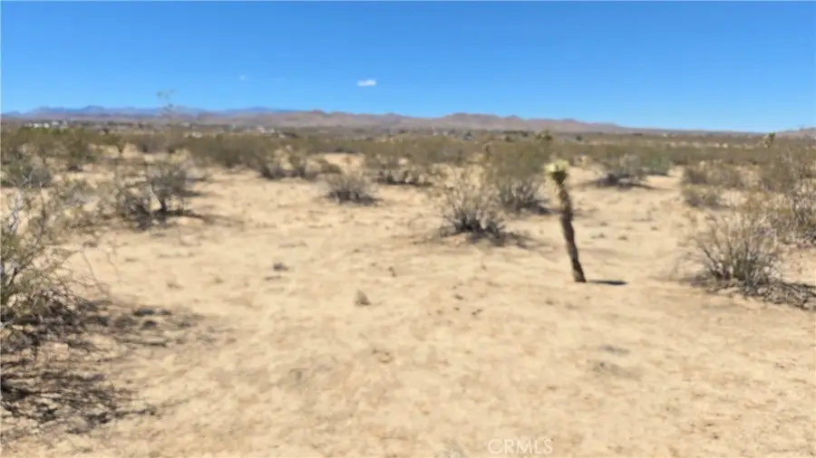 4102 Pine (jackrabbit) Lane, Landers, CA 92285 - #3