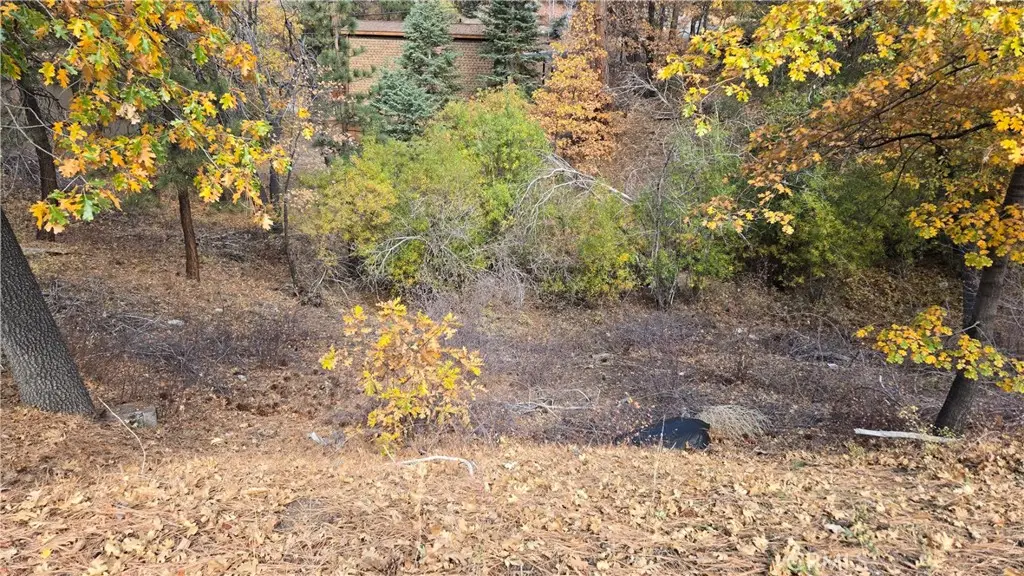 1000 Butte Avenue, Big Bear, CA 92314 - Image #1