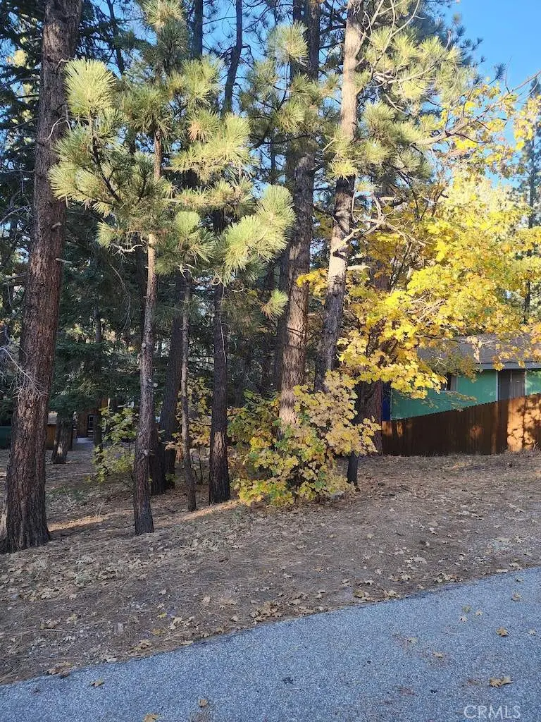 42736 Willow Avenue, Big Bear Lake, CA 92315 - #1