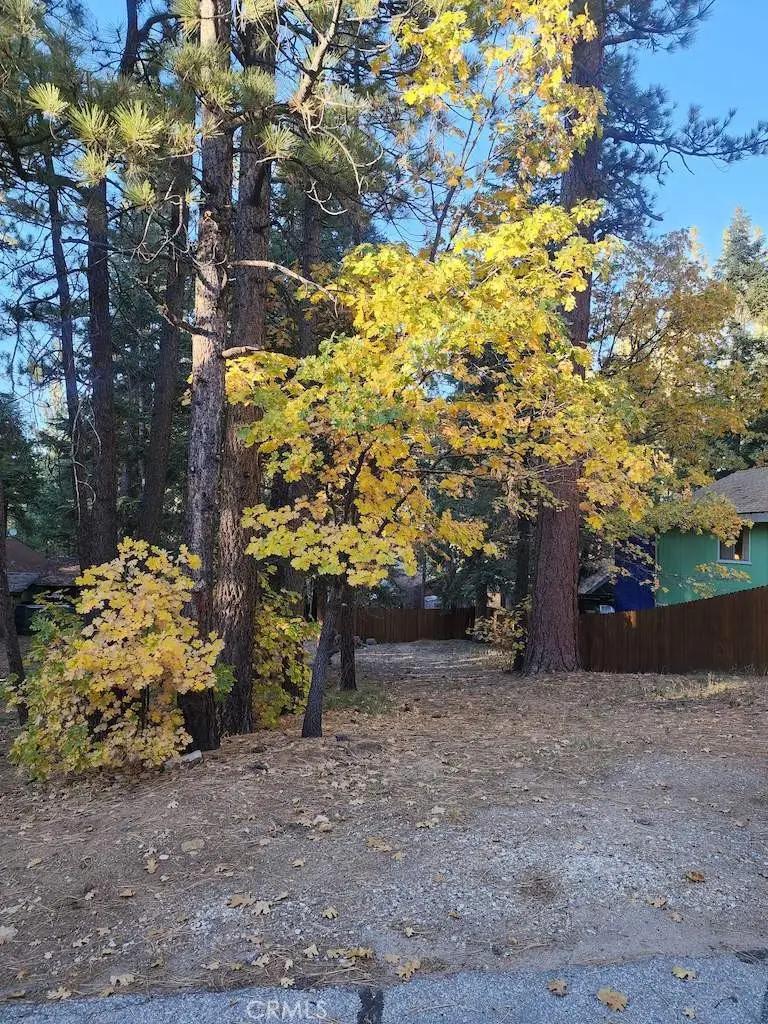 42736 Willow Avenue, Big Bear Lake, CA 92315 - #2