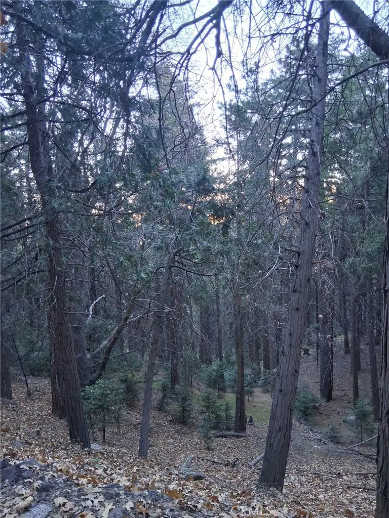 0 Reservoir, Cedarpines Park, CA 92322 - #1