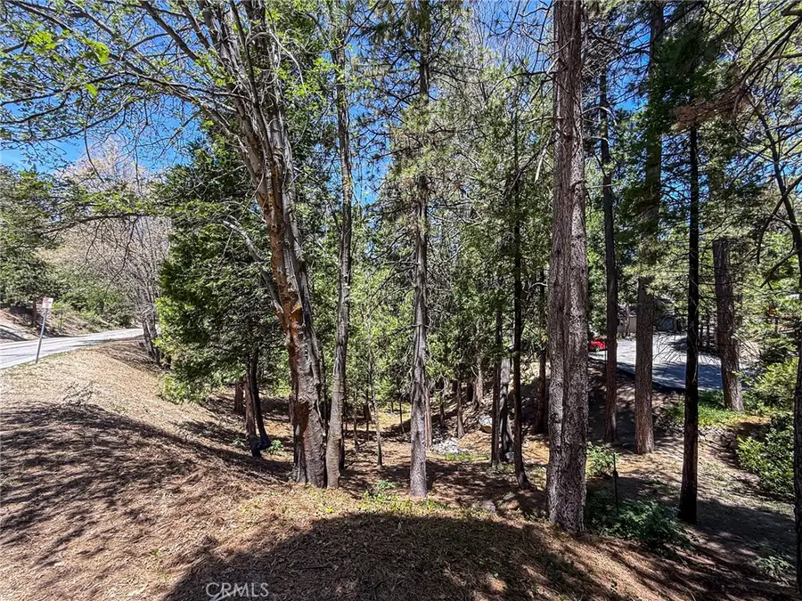 180 Grass Valley Rd. #5, Lake Arrowhead, CA 92352 - #3