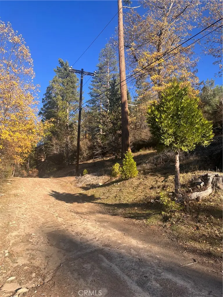 29834 Juniper Drive, Cedar Glen, CA 92321 - #1