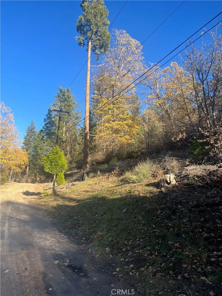 29834 Juniper Drive, Cedar Glen, CA 92321 - #3