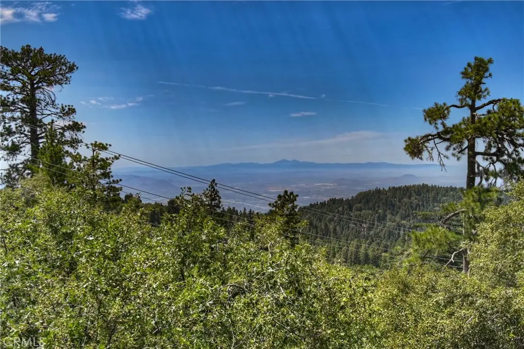 25515 True, Twin Peaks, CA 92391 - #1