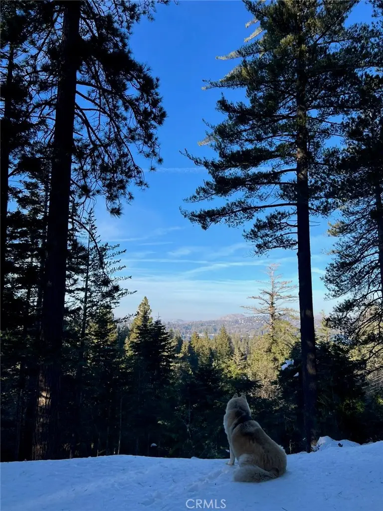 525 Ca-173, Lake Arrowhead, CA 92352 - #2