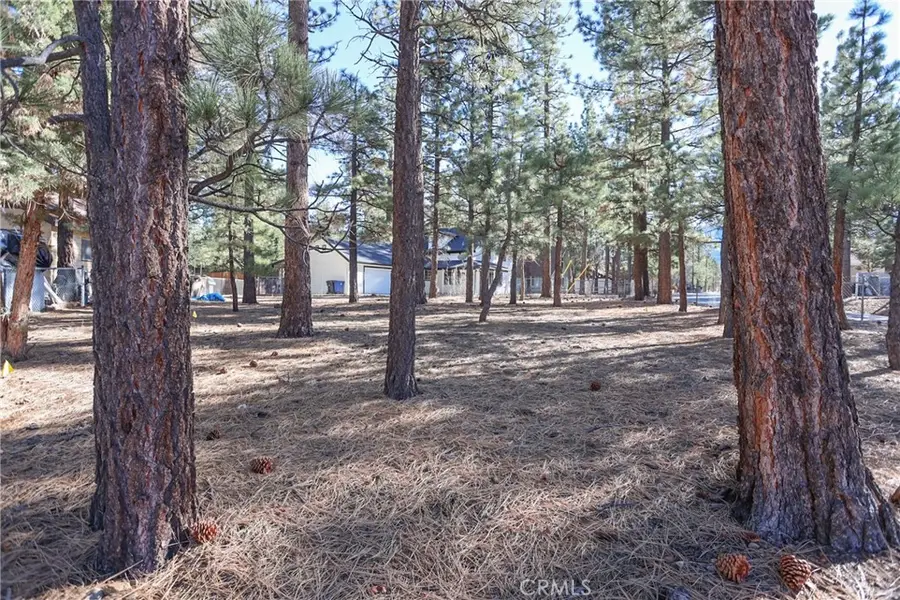 0 Dutch, Big Bear City, CA 92314 - #2