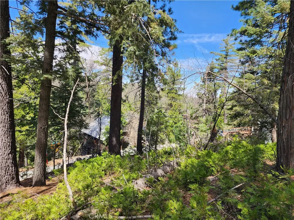 586 Rose, Twin Peaks, CA 92391 - #1