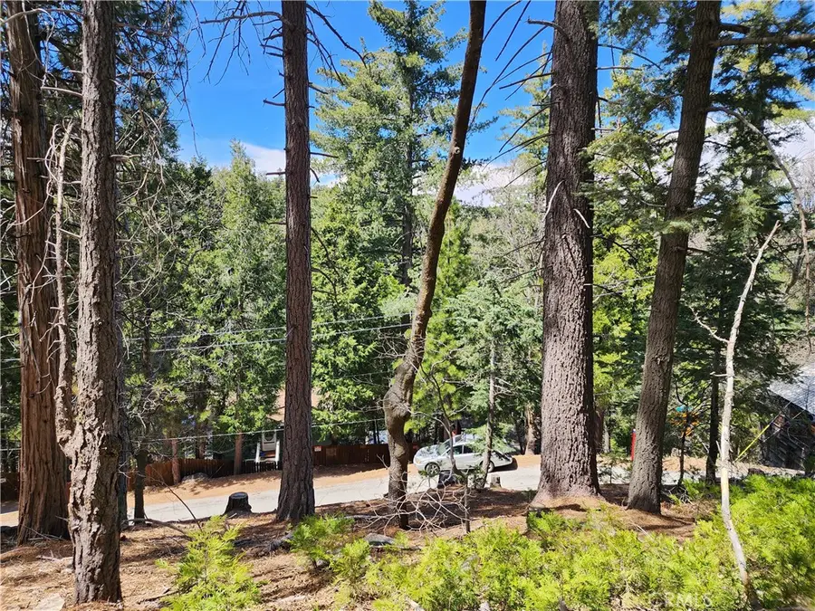 586 Rose, Twin Peaks, CA 92391 - #2