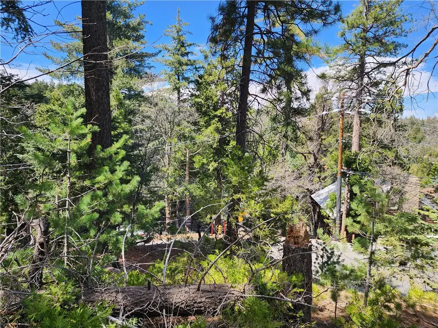 586 Rose, Twin Peaks, CA 92391 - #3