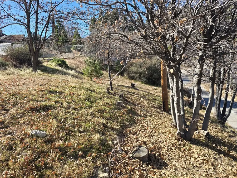 2350 Deep Creek, Running Springs, CA 92382 - Image #3