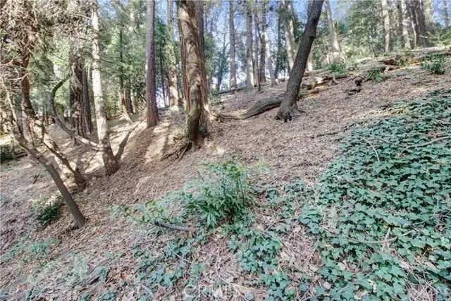 2661 Scenic, Crestline, CA 92325 - #1