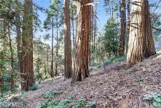 2661 Scenic, Crestline, CA 92325 - #3